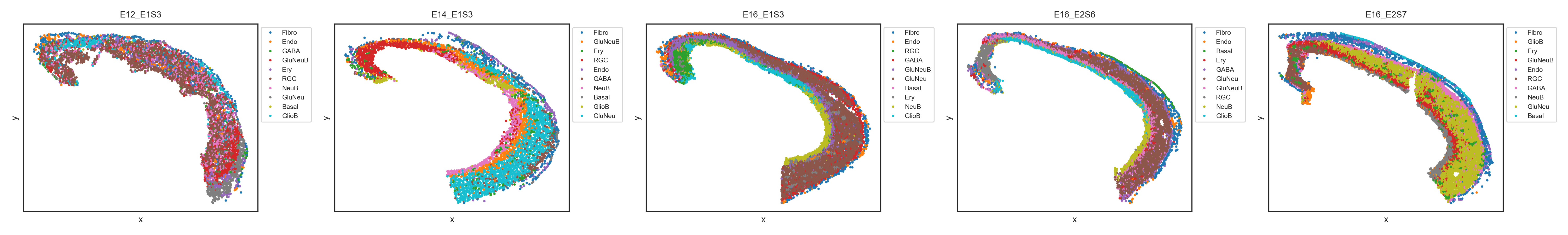 Spatial cell types