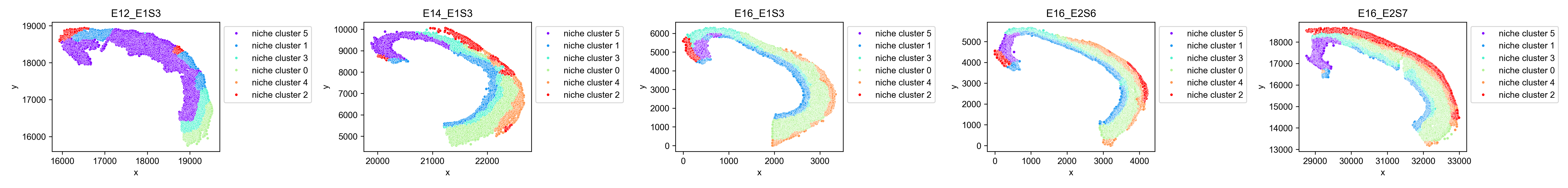 spatial_max_niche_cluster_image