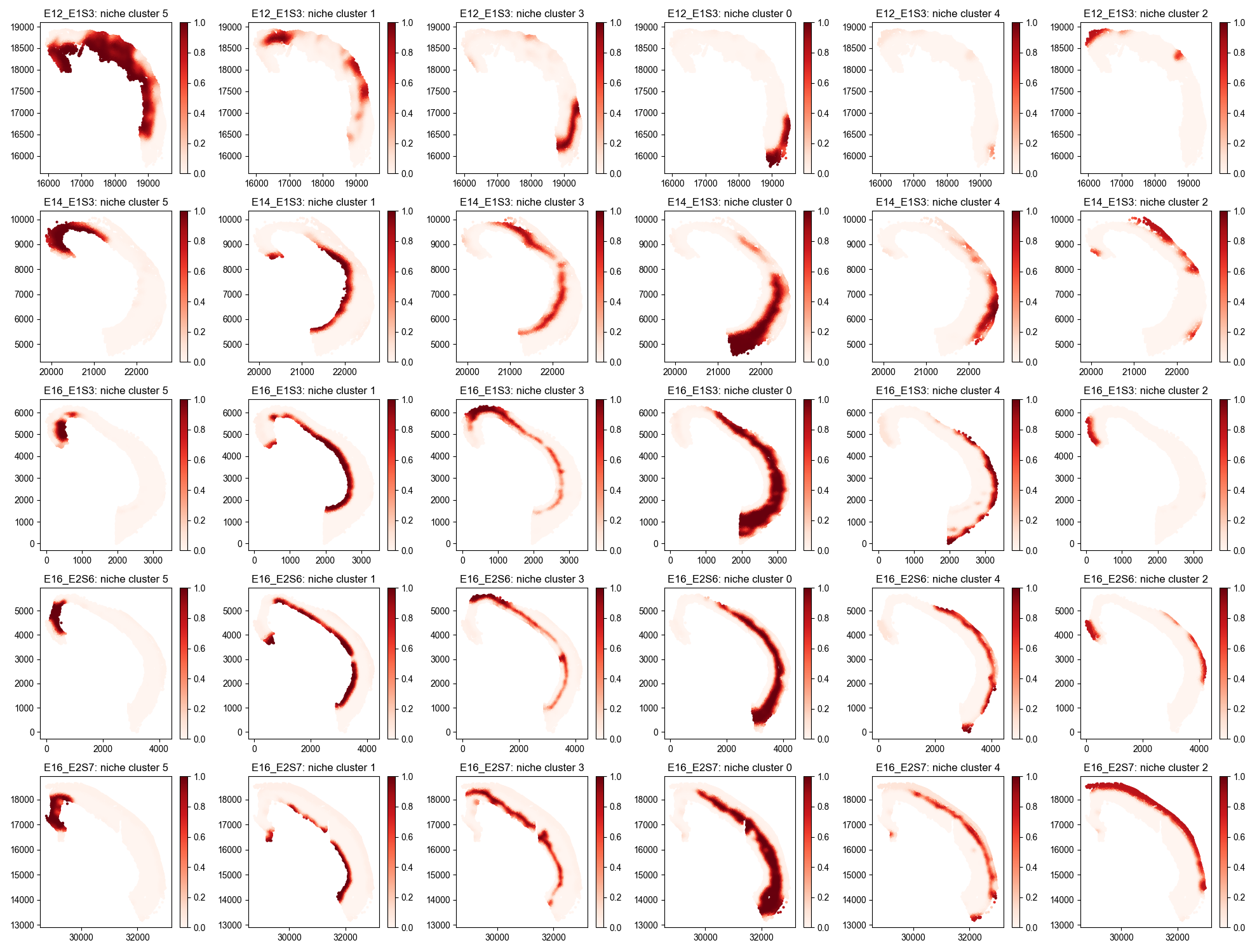 spatial_niche_cluster_loadings_image