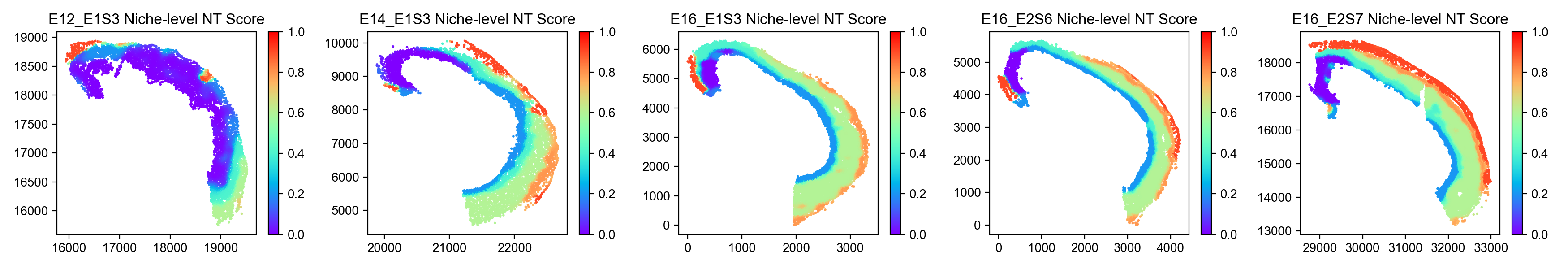 niche_level_NT_score_image