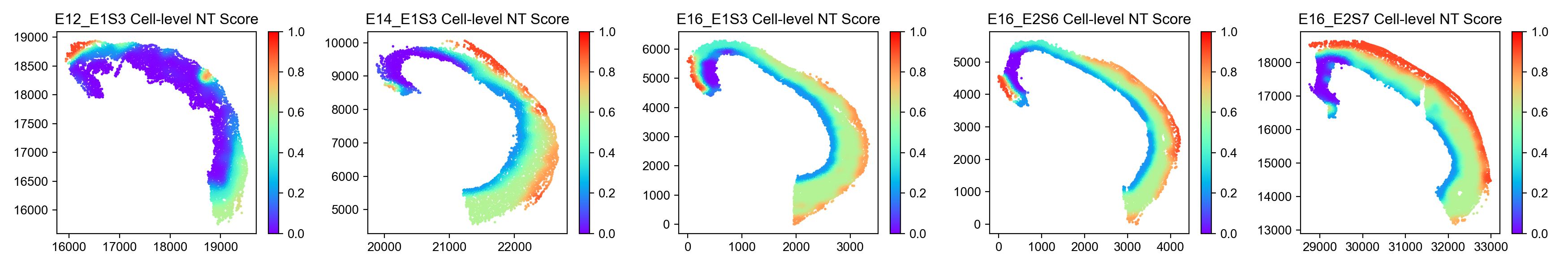 cell_level_NT_score_image