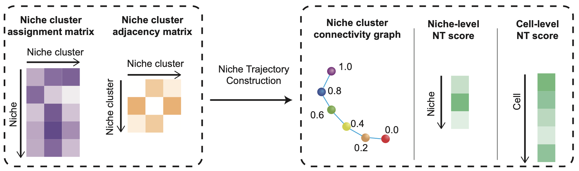 niche trajectory