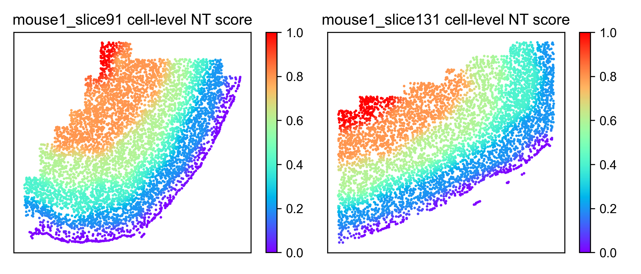 cell-level NT score