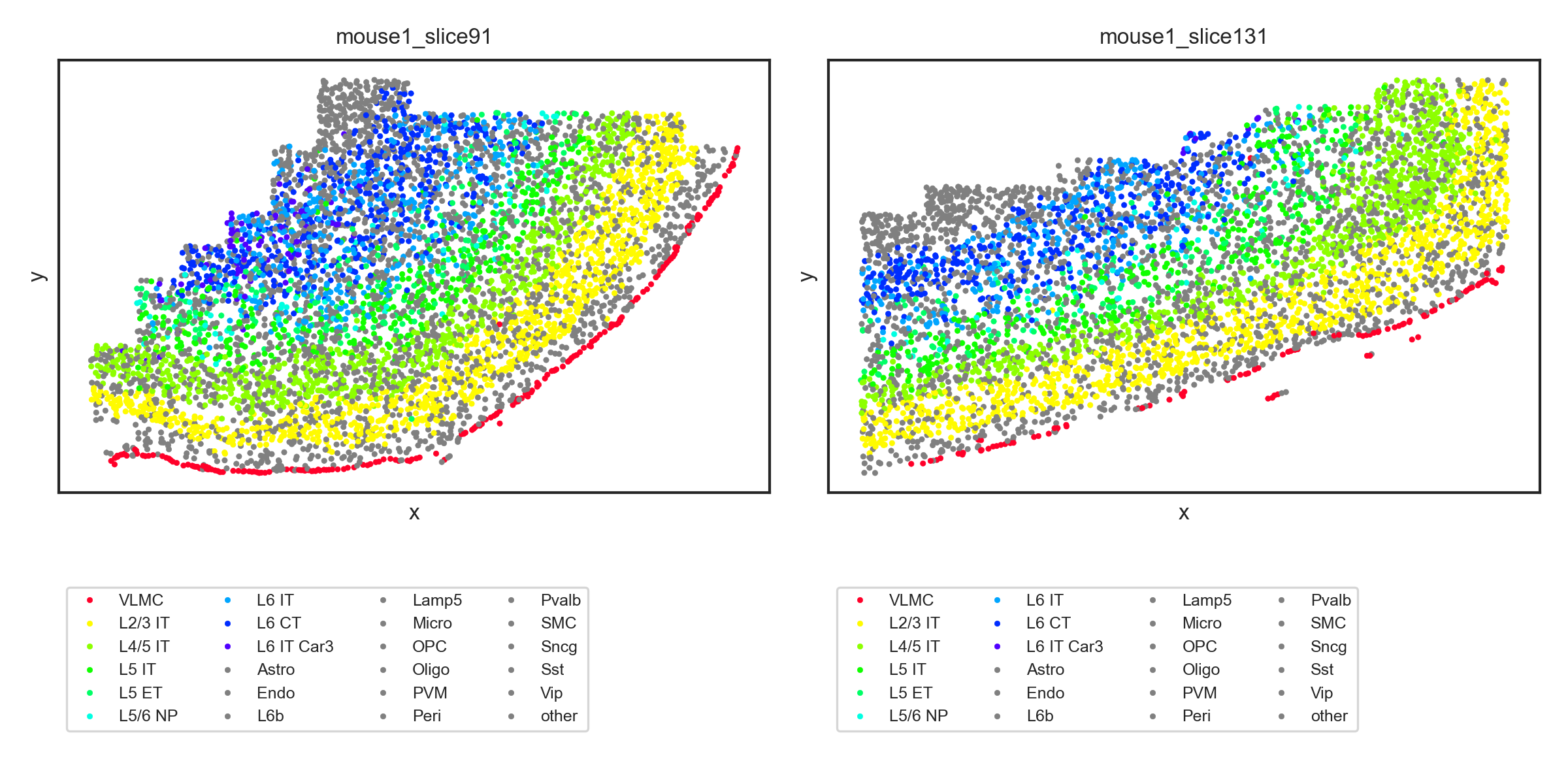 spatial cell type distribution