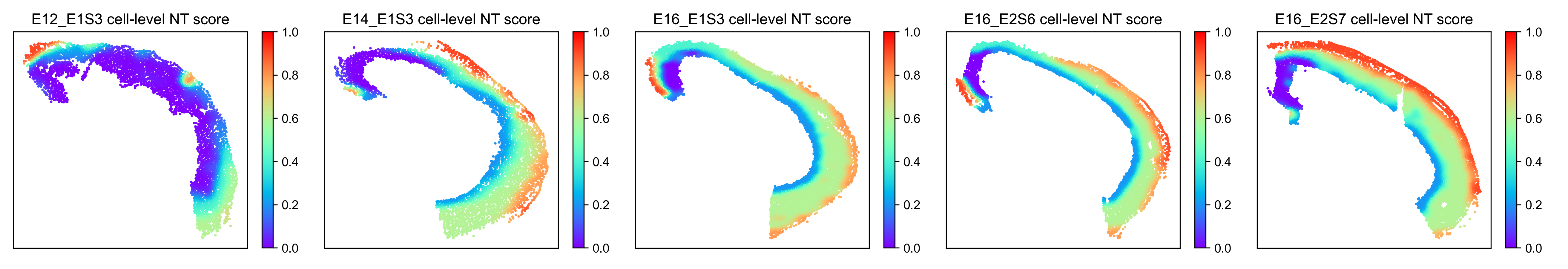 cell-level NT score